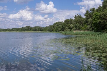 Quiet bank of the Dnieper River with lilies and reeds on a clear summer day
