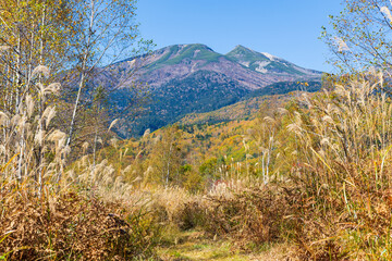 日本の風景・秋　紅葉の乗鞍高原
