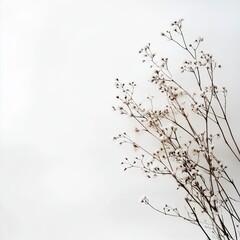 Obraz premium Dried floral arrangement against a white backdrop. Delicate brown stems and seed heads create a minimalist aesthetic