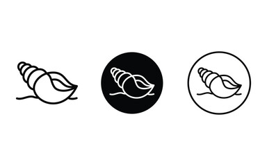 creative shells design, vector, isolated on transparent background