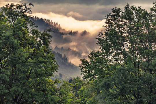 Clouds in a mountain ravine at sunrise