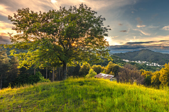 Amazing sunset in the mountain in springtime