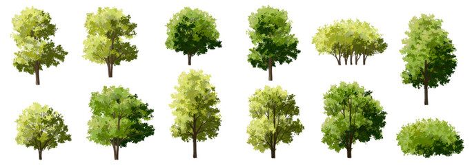 Vertor set of green tree,plants side view for landscape elevations,element for backdrop,eco environment concept design,watercolor greenery scene