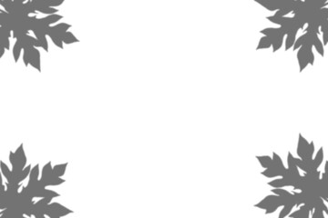 Papaya frame with leaves shadow png