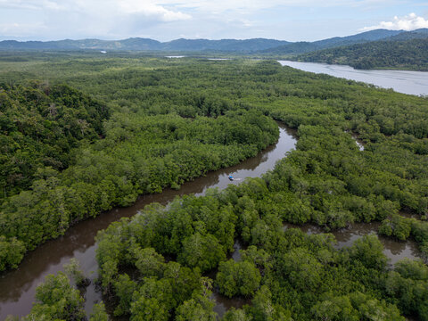 An aerial view over the lush mangroves of the Golfo Dulce