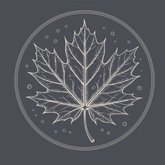 Detailed illustration of leaf, featuring intricate lines and patterns, set against dark background with circular elements. design evokes sense