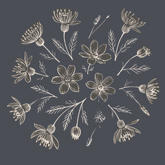 Delicate floral illustrations arranged circular pattern, showcasing various flowers and leaves dark background, creating serene and artistic vibe