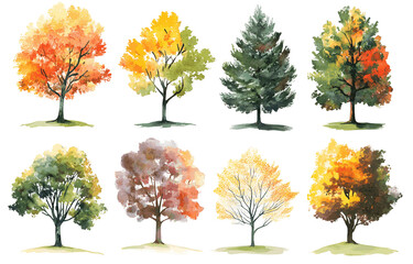 Autumn Trees Collection, Natural Environment, Illustrations on PNG Transparency Background