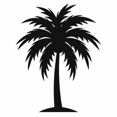 Obraz premium silhouette of palm trees