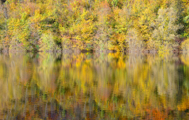 the beautiful reflections of the autumn lake in the forest on the mountains