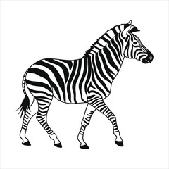 silhouette zebra on white background