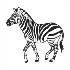 Obraz premium silhouette zebra on white background