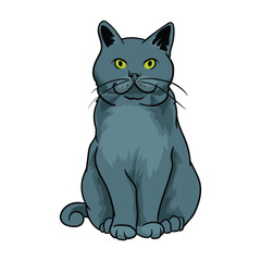 British shorthair blue cat sitting on a separate white background