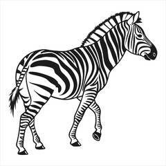 Obraz premium silhouette zebra on white background