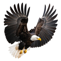 Obraz premium Top-Down View of a Bald Eagle Gliding Overhead, Wingspan Displayed, Isolated PNG