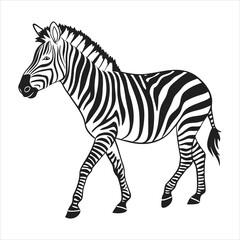 Fototapeta premium silhouette zebra on white background