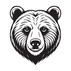 bear head vector