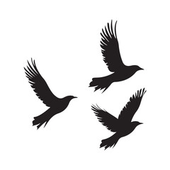A beautiful vector illustration of three birds flying together, symbolizing freedom, unity, and nature. This artwork is perfect for use in designs related to wildlife, travel, peace, and natural theme
