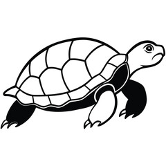 silhouette turtle on white background