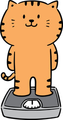 Illustration of cat on weighing machine
