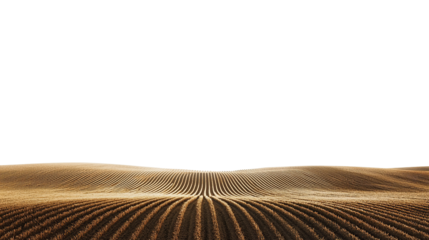 Large agricultural land with neatly growing crops on transparent background. PNG