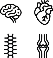 Human Anatomy Icon Pack – Brain, Heart, Spine, and Joint Outline Set