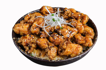 Fried Chicken Rice Bowl with Savory Sauce and Scallions.