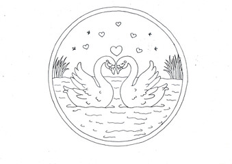 hand drawn pair of swans in black and white