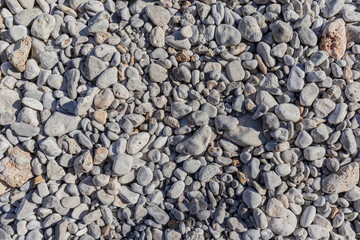 Close-up of light-colored smooth and rounded pebbles and small rocks scattered on the beach on a sunny day, viewed from above. Abstract natural travel, vacation and summer background.
