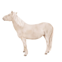 Obraz premium The horse is light beige in color, with a white mane and a long tail. Watercolor illustration. A standing horse, isolated on a white background. The theme of horse breeding, postcards, textiles