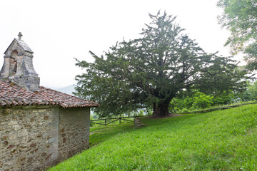 Yew Bermiego, Asturias, Spain