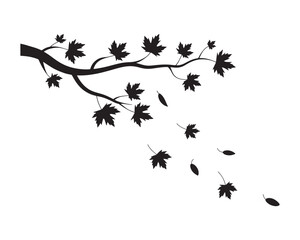 Silhouette branch maple leaves autumn fall design