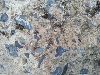 Rough Concrete Surface with Stone and Gravel Texture