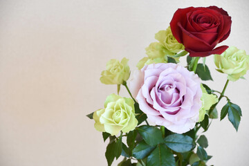 三色のバラ