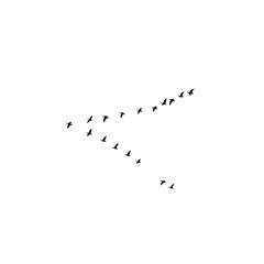 Group of flying birds silhouette illustration.