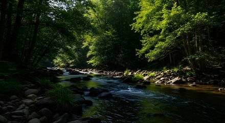 Obraz premium River Through Forest Landscape