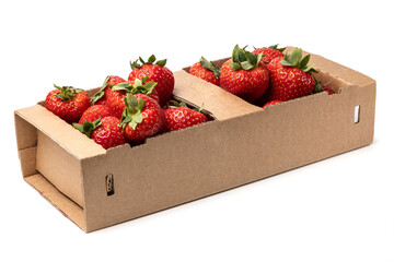 Healthy food and ingredients - Cardboard box full of natural organic ripe strawberries isolated on...