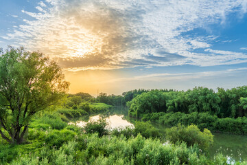 autumn landscape with river and trees
