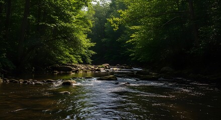 Obraz premium River Flowing Through Forest Landscape