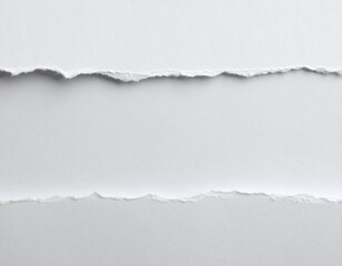 torn paper white