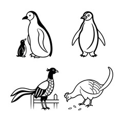 Naklejka premium Elegant Line Art Illustrations of Penguins, Pheasant, and Turkey