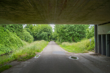 Concrete bridge over paved road leading to lush green forest