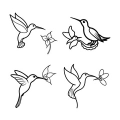 Obraz premium Elegant Hummingbird Illustrations Four Line Art Designs of Hummingbirds and Flowers