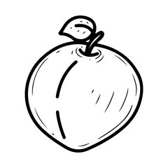 Peach on a branch with a leaf. Hand drawn doodle vector. Summer sweet tree fruit. Nectarine. Seasonal vitamins. Fresh organic food. Berry with a stone inside the pulp. Illustration line art element.