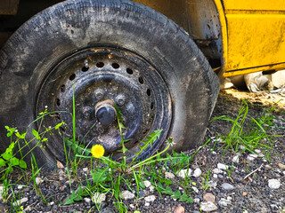 A yellow car tire with a black rim is on the ground. The tire is surrounded by grass and dirt