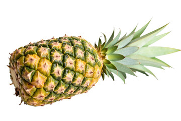 Pineapple close-up on transparent background