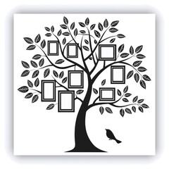 A colorful array of fruits vegetables and grains arranged in an intricate pattern on the right side of the frame with various dried superfoods