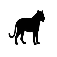 Obraz premium black silhouette of a tiger in wild 