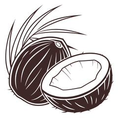 silhouette coconut on white background