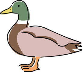 手描きのカモのイラスト